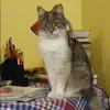 Отзыв от Наталья Гришина